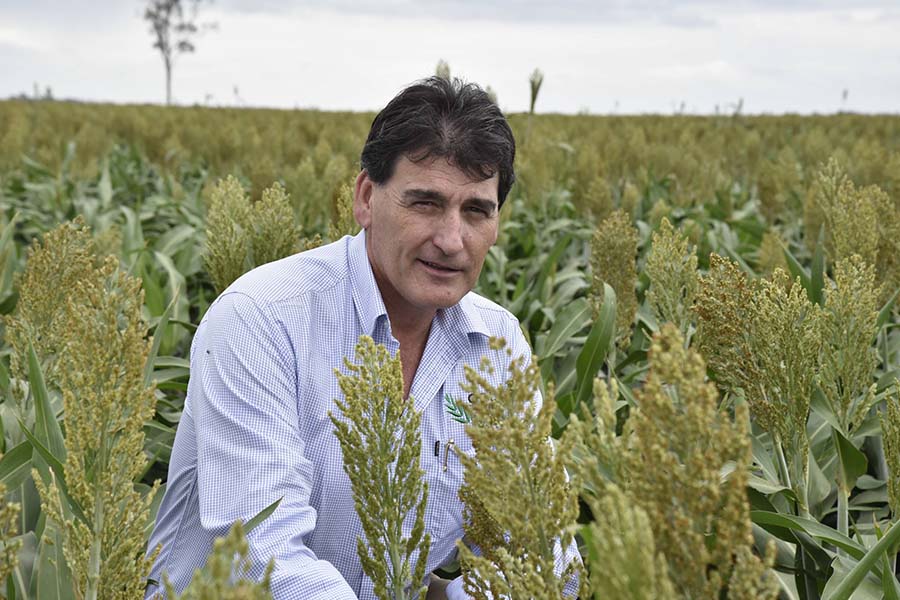 Laurie Fitzgerald, NVT manager - north. PHOTO GRDC