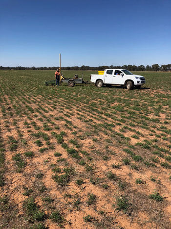 Researchers taking soil cores in a paddock