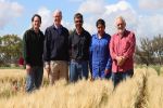 Researchers ponder options for managing dispersive soils