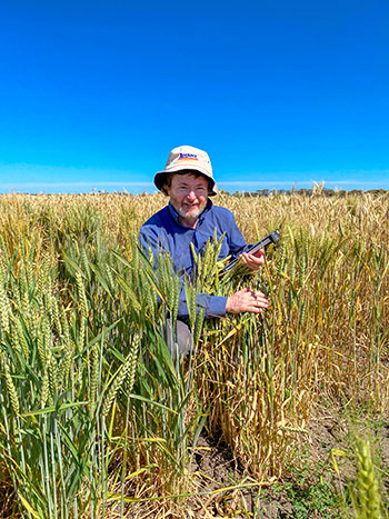 man in blue shirt in a field of wheat with a clipboard on a sunny day