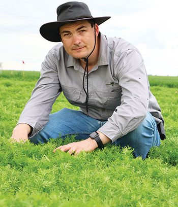 man crouching in green coloured crop