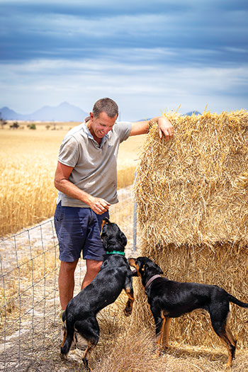 Wayne Pech on his mixed farm with his dogs.