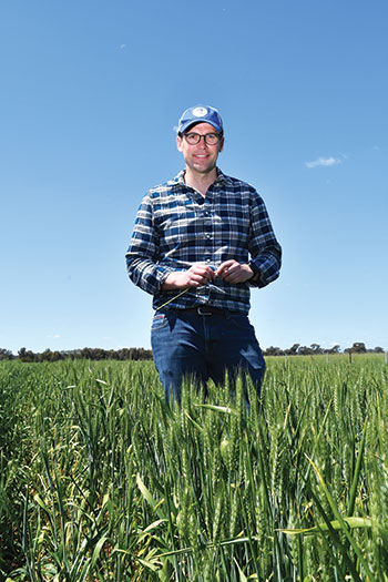 Kenton Porker is leading research to optimise yields in the low and medium-rainfall zones of southern Australia. 