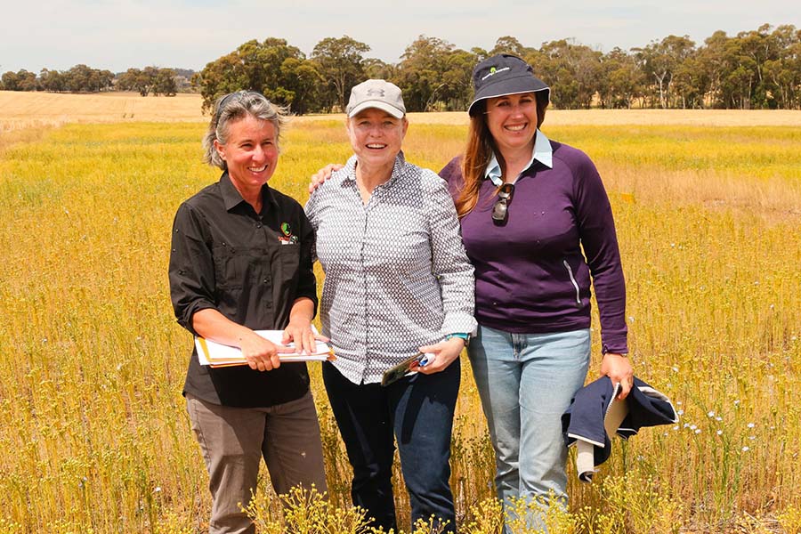 Researcher Dr Bronwyn Copestake, left, Anne Marie O'Callaghan, of Strategy Matrix, centre, and Dr Christine Storer, of Asterisk Pty Ltd, at a linseed field day. PHOTO Michael Hodgkins