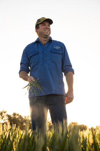 Luke Bradley stands in his 2020 wheat crop