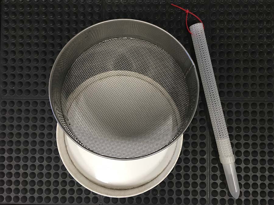 Grain sieve and probe trap