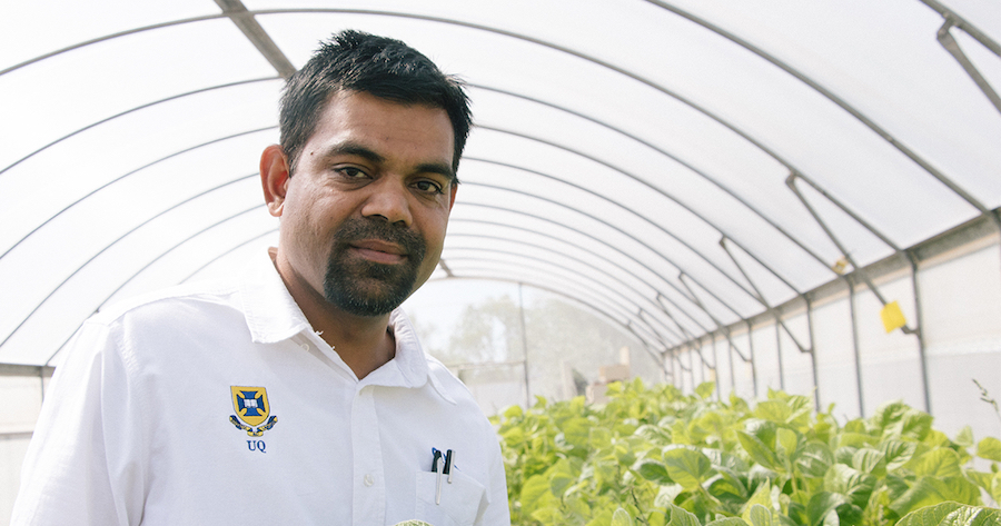 The professor is in a glasshouse in a white shirt looking at the camera. Green plants are behind him 