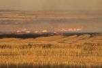 Growers contemplating burning to manage high stubble loads encouraged to consider implications  