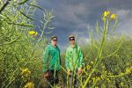 Winter canola proves profitable at Weatherboard