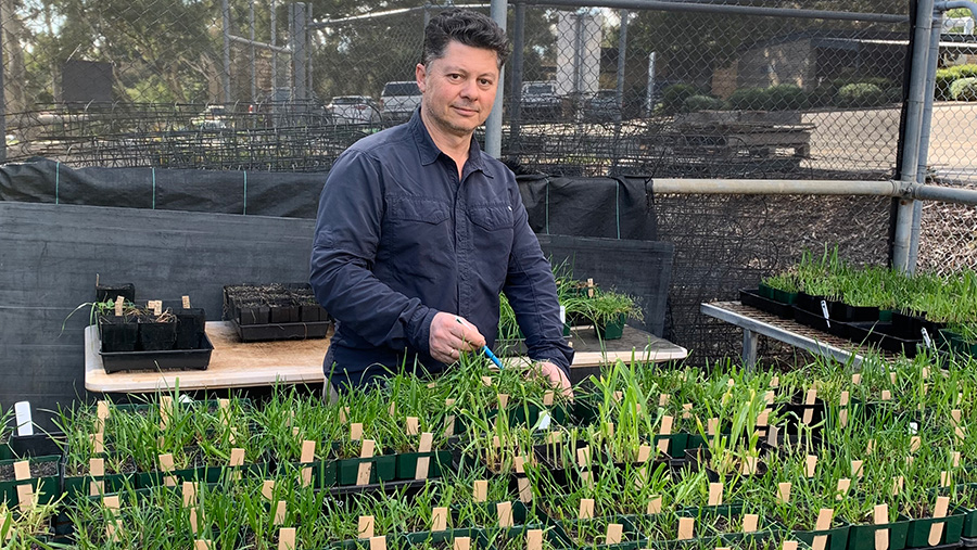 Dr Peter Boutsalis has been conducting random weed surveys for almost 20 years, monitoring changes in herbicide resistance.