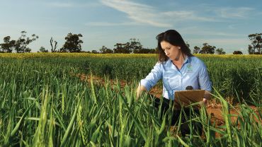 Decision-support tools can avoid costly under-fertilising