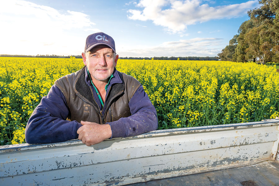 Paul Tognetti in front of Canola field