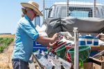 The north's history with farming systems experiments