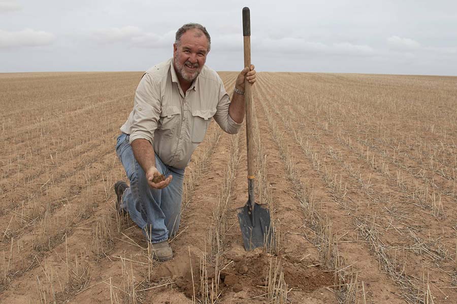 Peter Kuhlmann has calculated that by increasing his crop yield by 11 kilograms/ha, his grain business profit can increase by 11 per cent. PHOTO Andrew Brooks