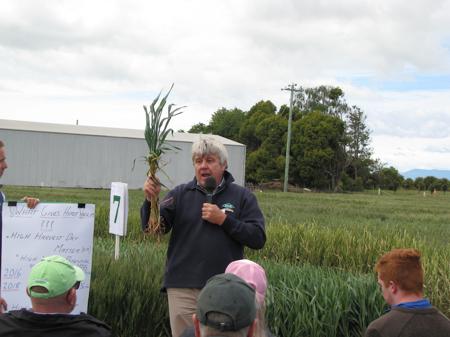 Nick Poole addressing growers at the hyper-yielding cereals field day