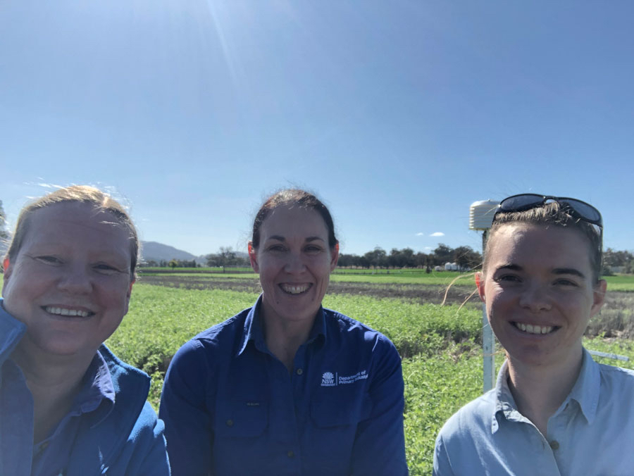 Researchers in a field 