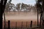 How to minimise wind erosion after soil amelioration