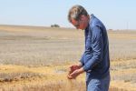 Projects find problem soils solutions in WA