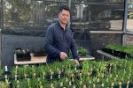 Harvest – make it a testing time for managing herbicide resistance