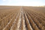 Soil testing guides optimal crop nutrition and stubble production to reduce erosion risks