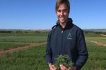 Grower groups prove a valuable learning curve