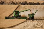 New research to reveal true cost of harvest losses to growers