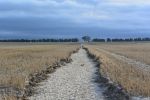 Permanent tramlines in CTF systems need maintenance