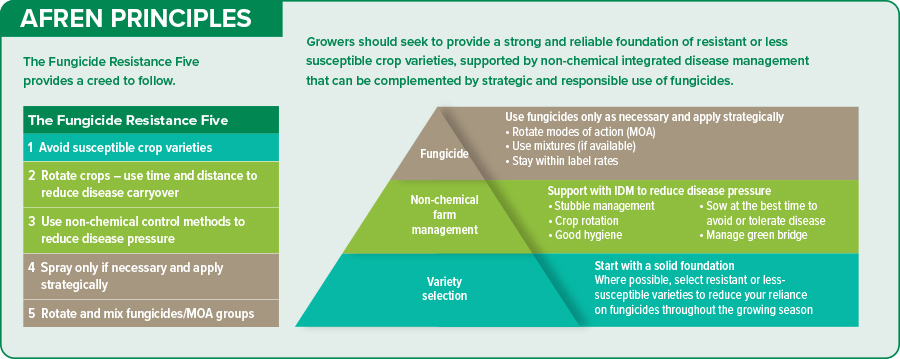 colourful graphic showing AFREN principles