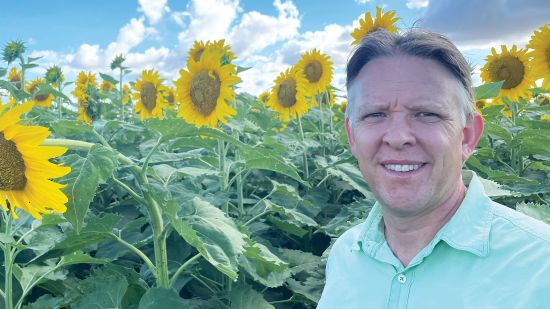 To plant, or not, on late summer rain?