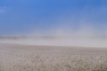 Biotech’s role in a changing climate 