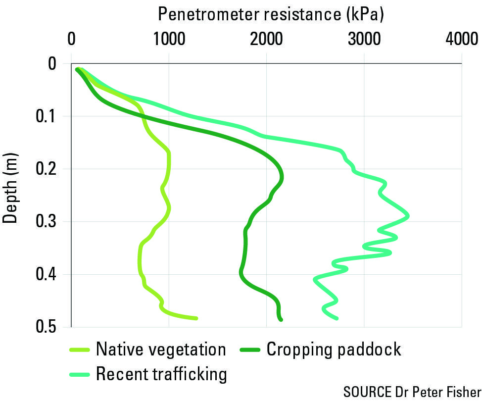 FIGURE 2 Soil strength measured on a Loxton deep sand using a penetrometer. Penetrometer resistance is lowest in native vegetation, a lot higher in the cropping paddock where there has been years of historical trafficking, but highest where there had been recent trafficking causing root impeding conditions.