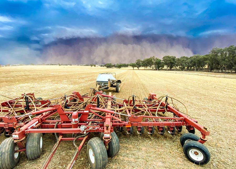 A dust storm during January captured while Stuart McDonald was planting a mixed-species cover crop with a recently-purchased second-hand disc seeder. PHOTO Stuart McDonald
