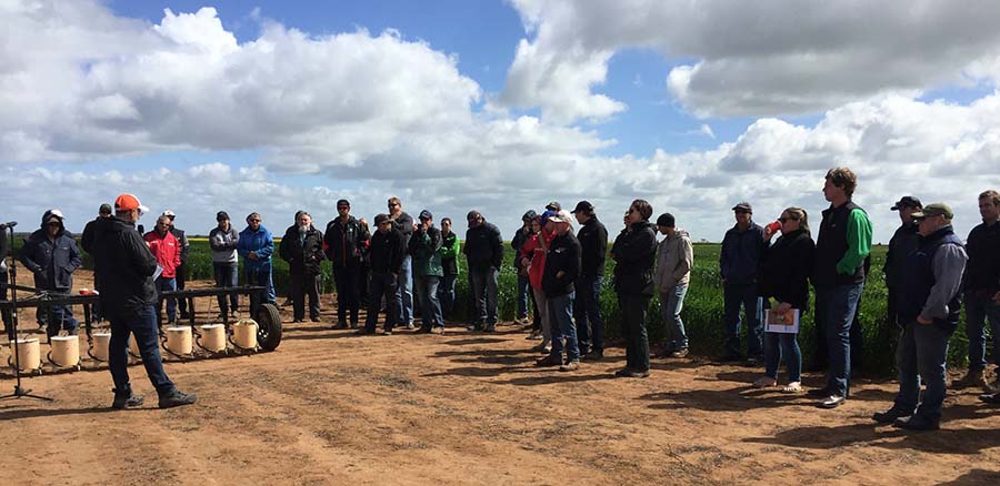 Gurjeet Gill discusses seeding rate manipulation as a weed control tactic at the 2019 Birchip Cropping Group field day in Victoria's Mallee region. PHOTO University of Adelaide 