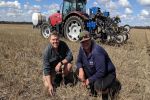Sowing sorghum in spring offers growers farming system benefits 