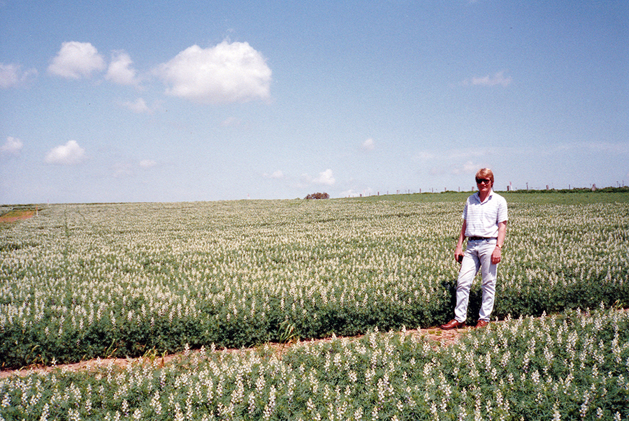 John Kirkegaard in a lupin crop