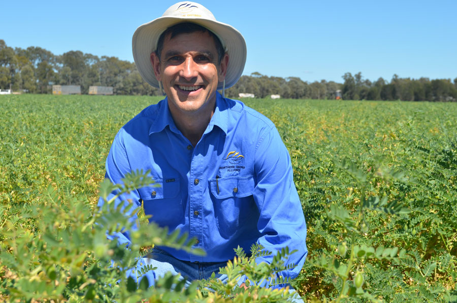 Richard Daniel in a field of chickpeas 