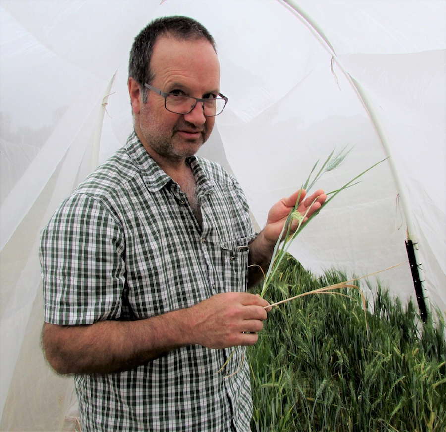 SARDI entomologist Maarten van Helden