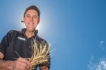 Are long coleoptile wheats an early sowing game-changer?