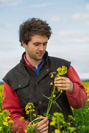 jock binnie holding a canola plant