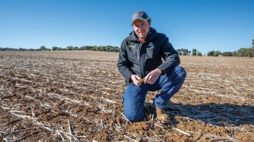 Precision tillage puts lime where needed