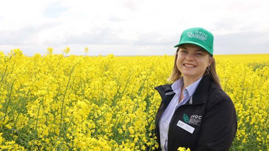 GRDC wants to hear from Mid North grain growers