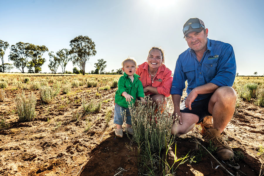 Cam Newham, Emma Ayliffe and Craig Newham with a Jersey Cudweed plant on their farm east of Lake Cargelligo in central New South Wales.