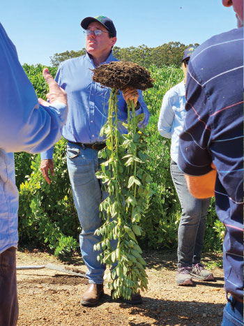 WA Department of Primary Industries and Regional Development research scientist Glenn McDonald discusses faba bean agronomy during a field day at Perillup in October 2024. 