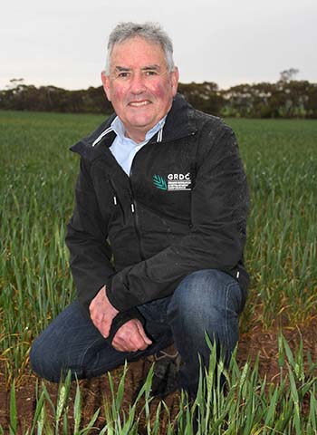 GRDC NVT Manager South, Rob Wheeler, says harvest of the 2019 winter crop variety NVT trials is now complete and data is being made available to growers to help with variety choices in 2020. PHOTO GRDC