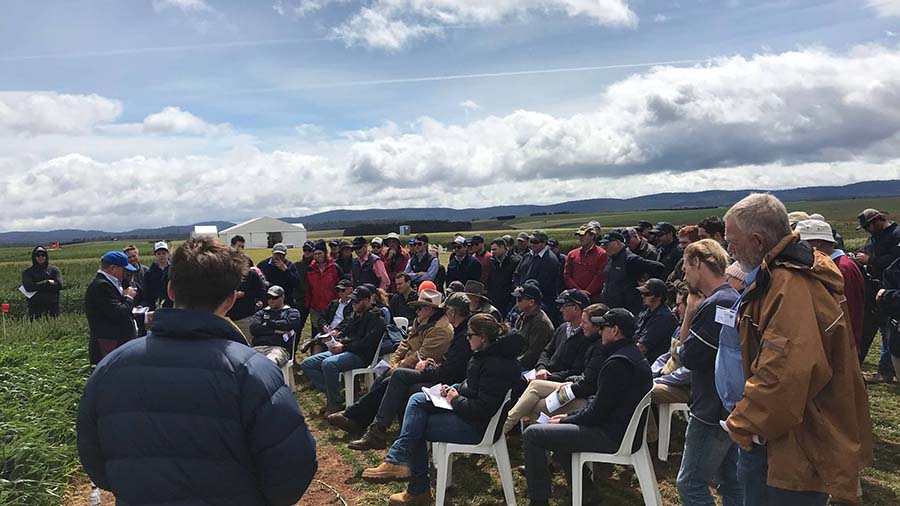 The 2019 Hyper Yielding Cereals Project field day at Hagley today drew a crowd. PHOTO GRDC