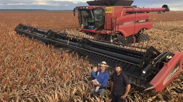 Lower-risk sorghum provides extra income streams for western Queensland growers