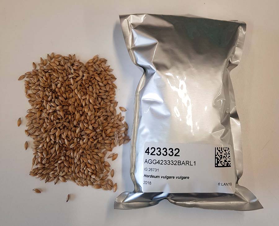 The Australian Grains Genebank has implemented a barcoded seed-handling system based on a similar one used at the Philippines International Rice Research Institute genebank. PHOTO Sally Norton, AGG