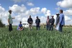 WA grower tour focus on trans-Tasman high yielding crops