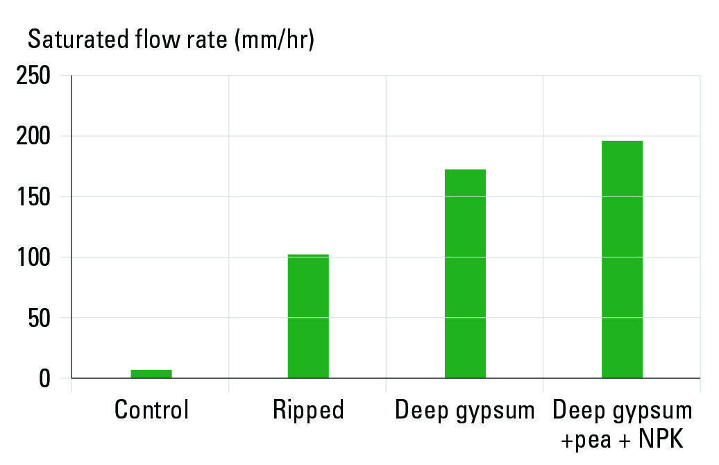 Figure 6: Saturated flow rate of the soils with different amendments in 2018, one-year post-treatment at the Rand site.