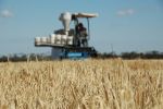 The pitch: agtech start-ups share plans to solve grain issues 